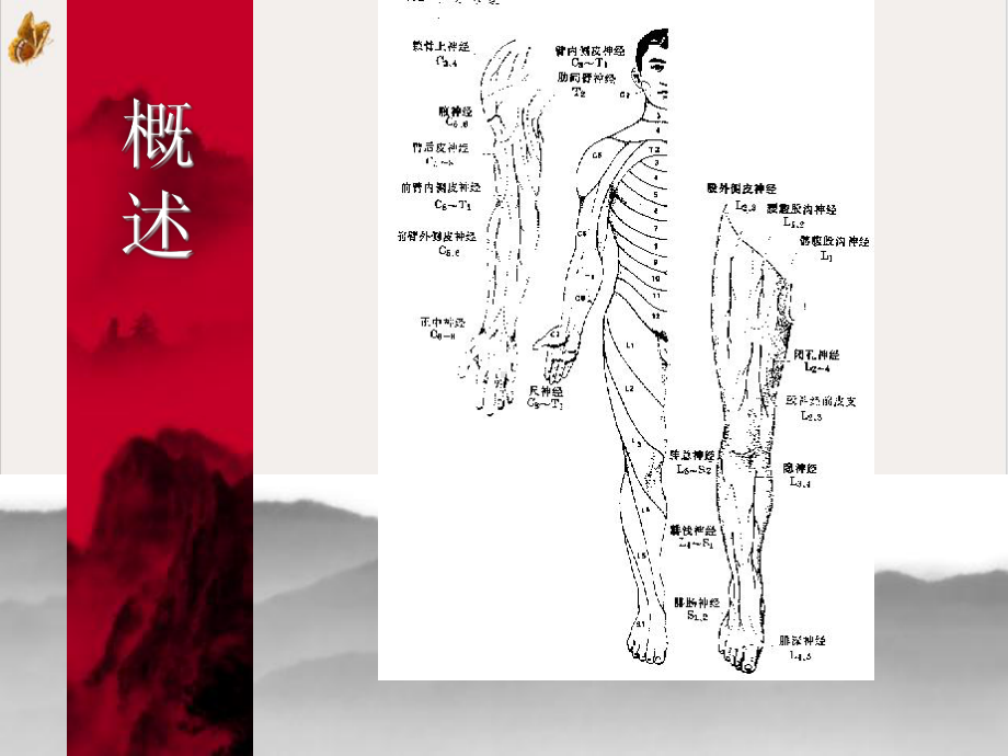 颈椎病肩周炎腰腿痛康复课件(同名215).pptx_第2页