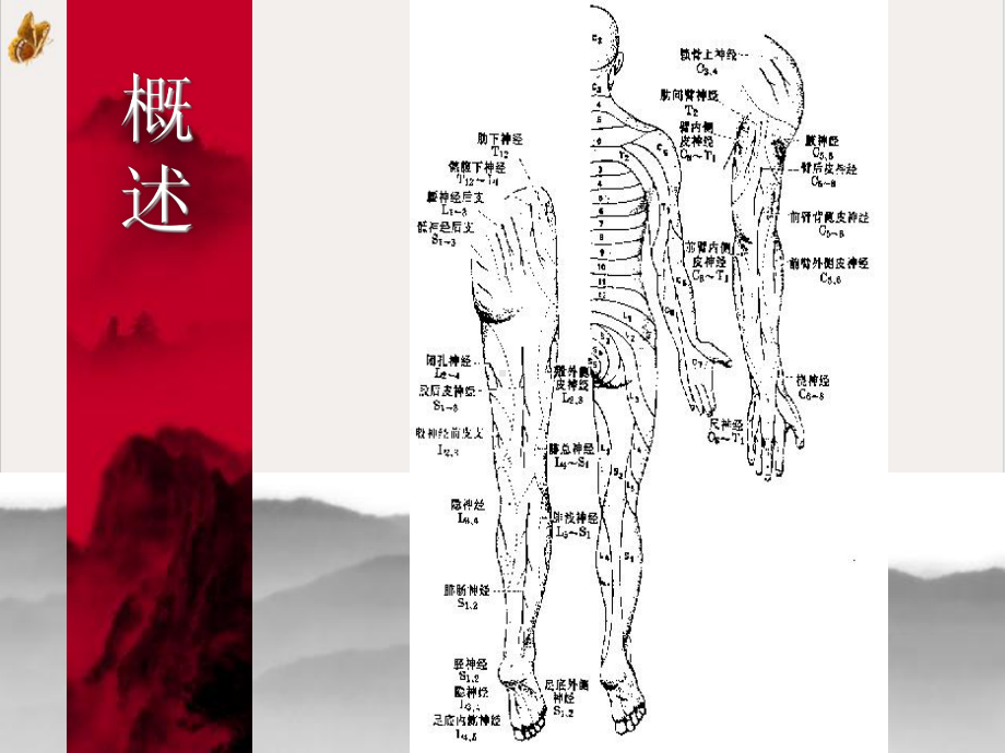 颈椎病肩周炎腰腿痛康复课件(同名215).pptx_第3页