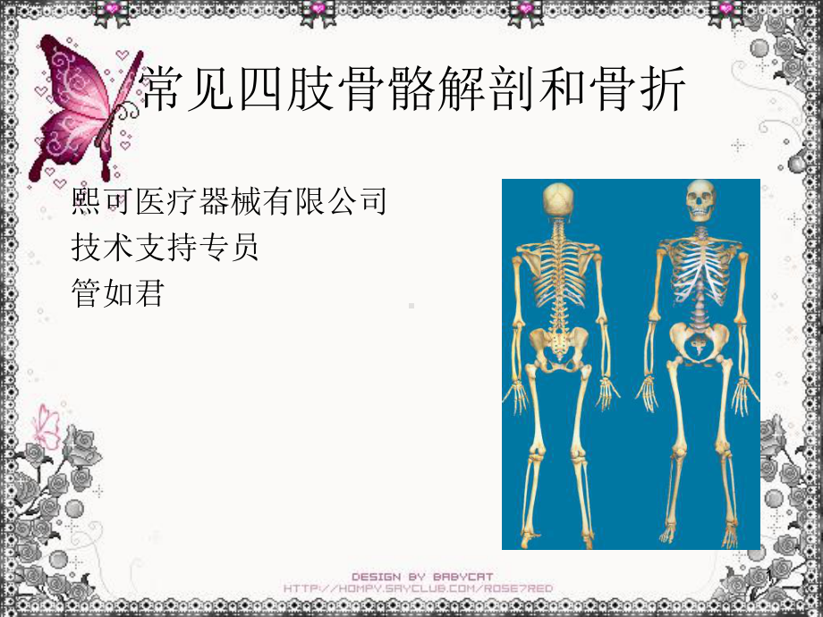 《肢骨骼解剖和骨折》课件(同名196).ppt_第1页