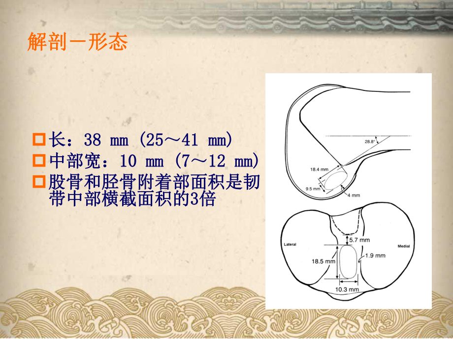 前十字韧带股骨附着点定位与解剖重建课件.ppt_第3页