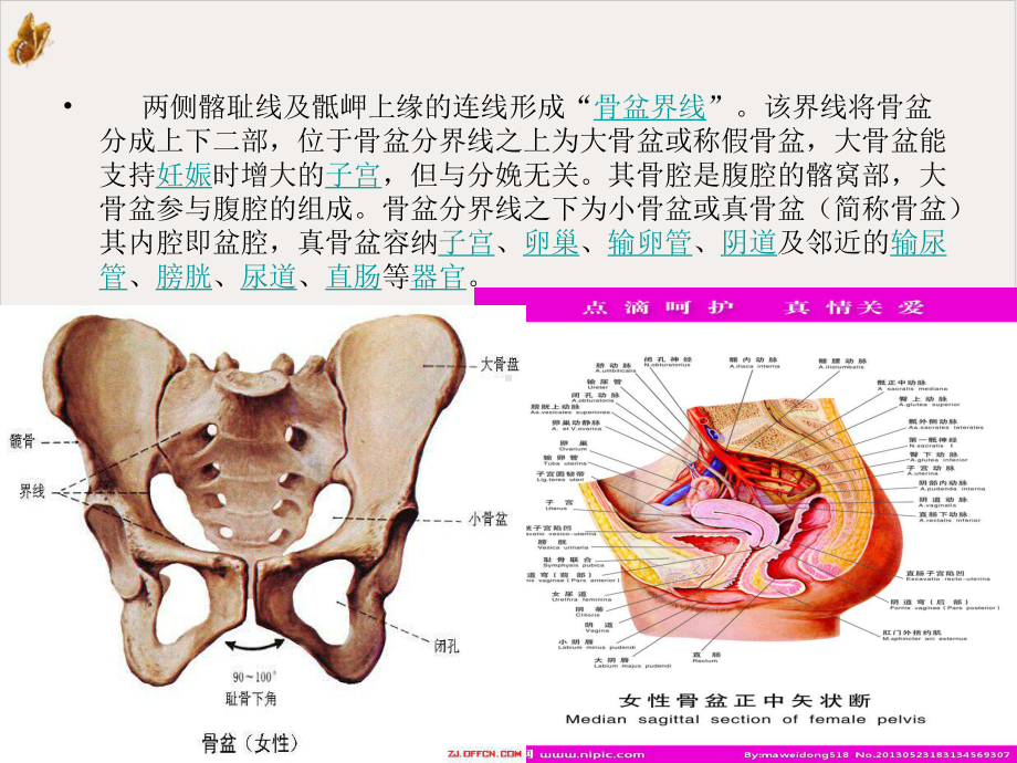 骨盆骨折患者护理课件.pptx_第3页