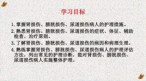 泌尿系统损伤疾病病人的护理课件.pptx