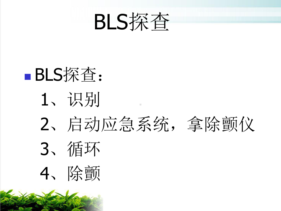 高级心血管生命支持课件.ppt_第2页