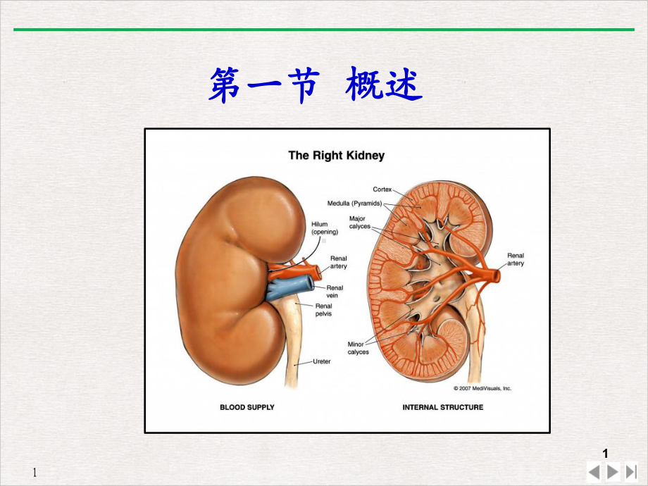 钝痛及肾绞痛肾衰竭的治疗代价精选课件.pptx_第1页