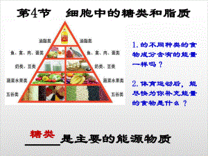 人教版化学《糖类》名师课件（新教材）1.pptx