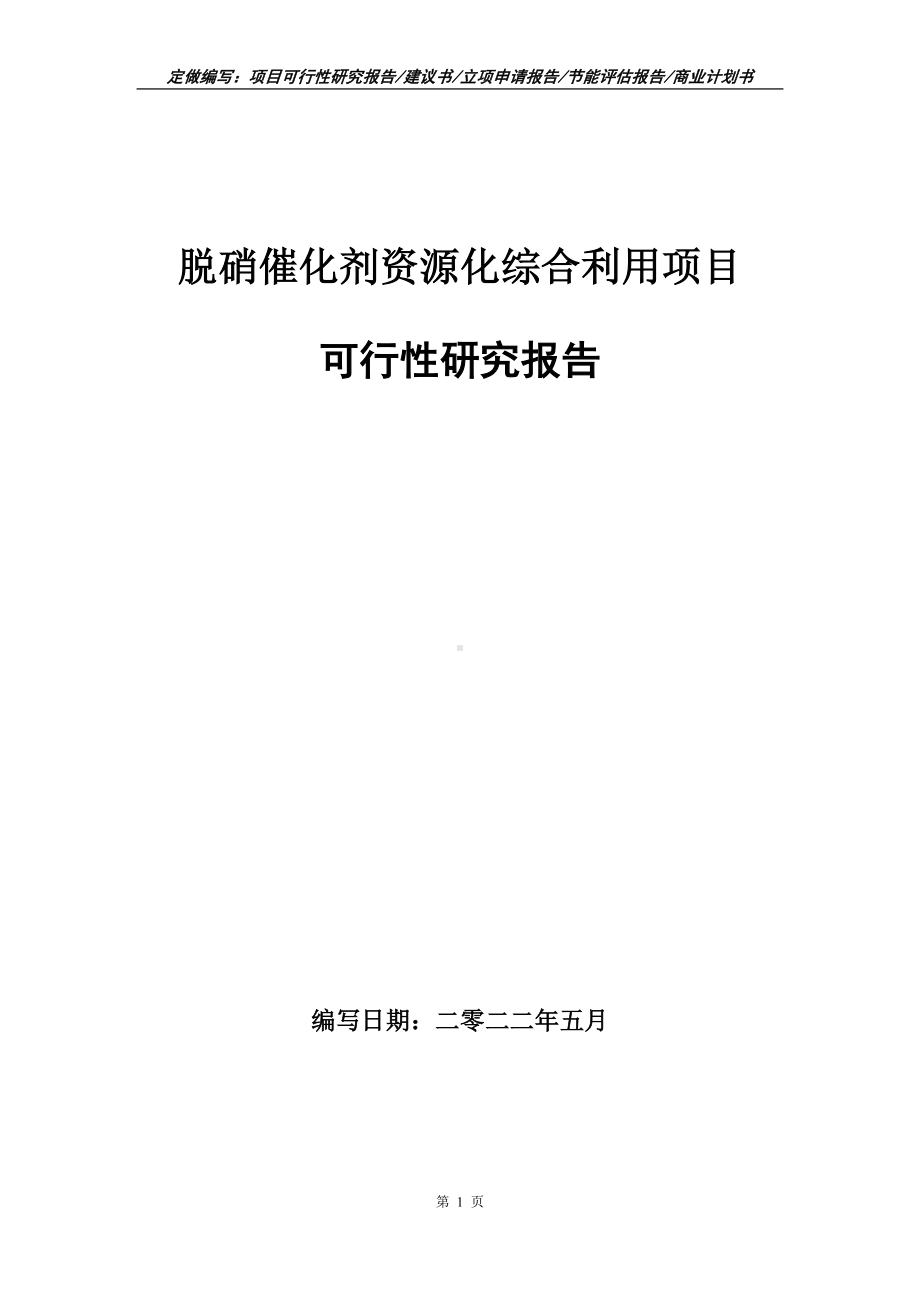 脱硝催化剂资源化综合利用项目可行性报告（写作模板）.doc_第1页