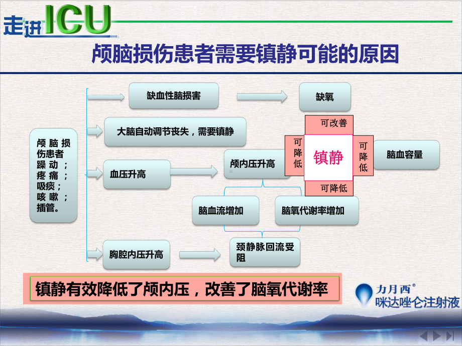 颅脑损伤患者镇静的药物选择完整版课件.pptx_第1页