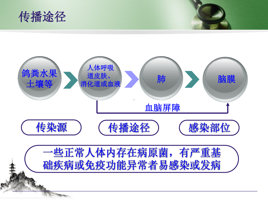 隐球菌脑膜炎护理查房课件.pptx_第3页