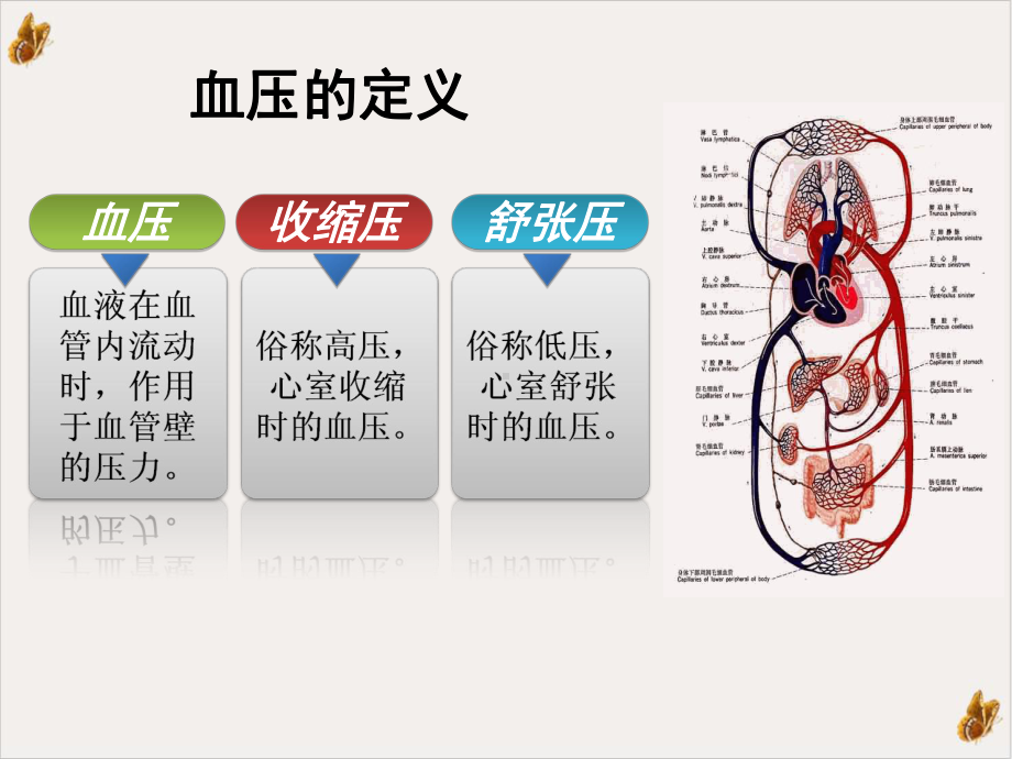 高血压健康讲座患者教育课件.pptx_第3页