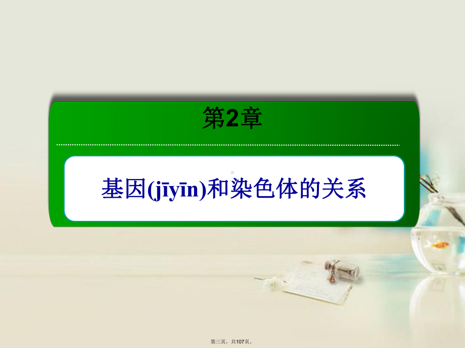 高考生物一轮复习-221基因和染色体的关系课件-新人教版-.ppt_第3页