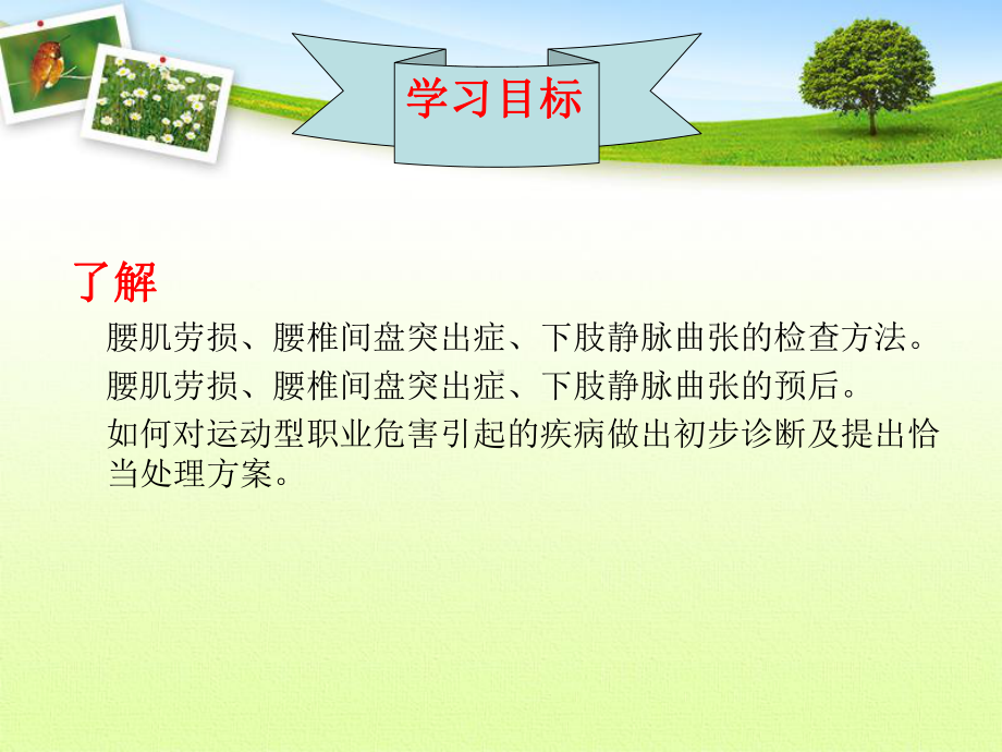 运动性职业损伤与防护课件.ppt_第2页