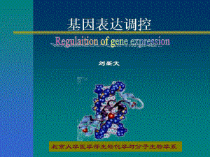 北大基础医学生物化学课件-基因表达调控.ppt