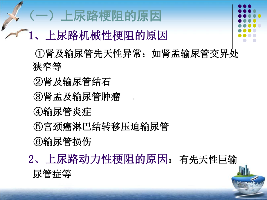 泌尿系梗阻的病理生理课件.pptx_第2页