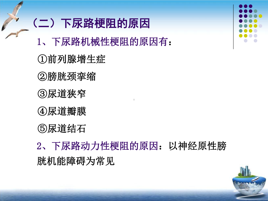 泌尿系梗阻的病理生理课件.pptx_第3页