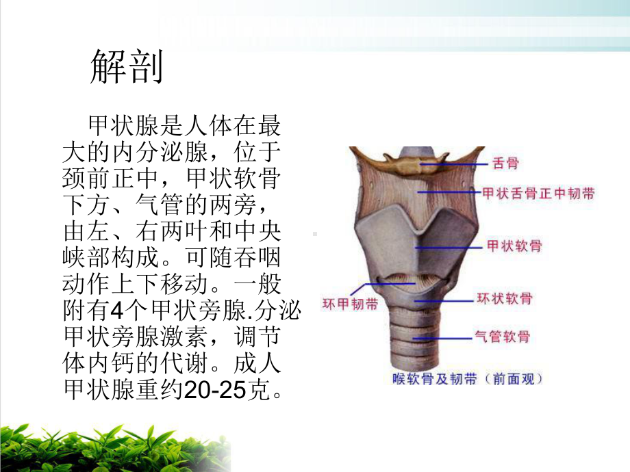 颈部疾病患者的护理课件.pptx_第2页