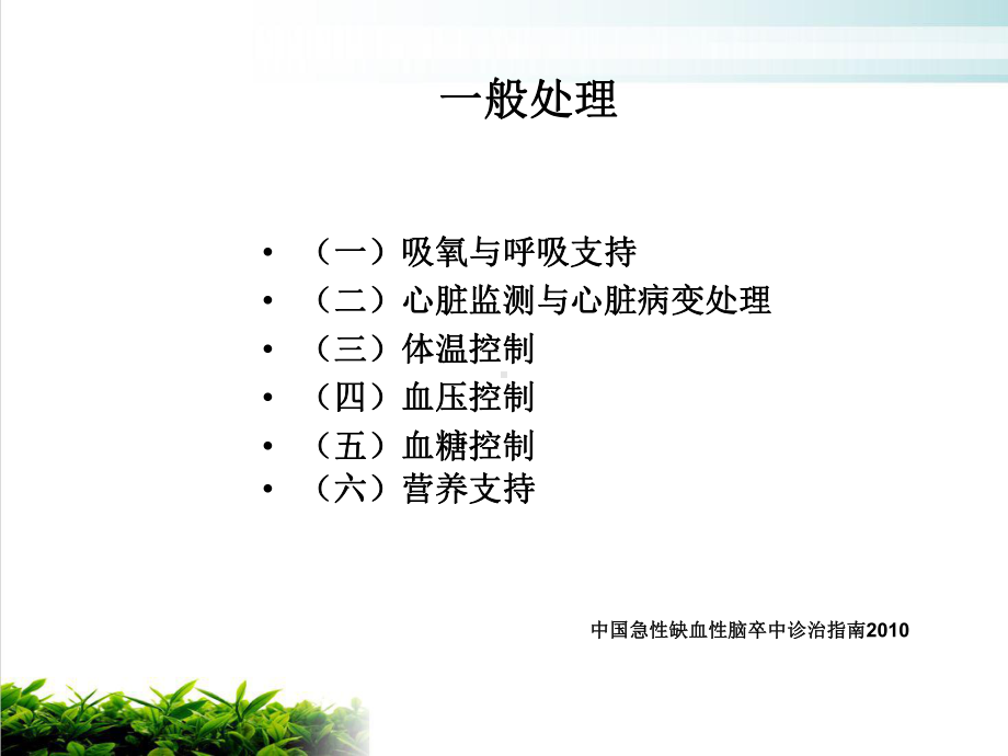 急性缺血性脑卒评价与药物治疗优质课件.ppt_第2页