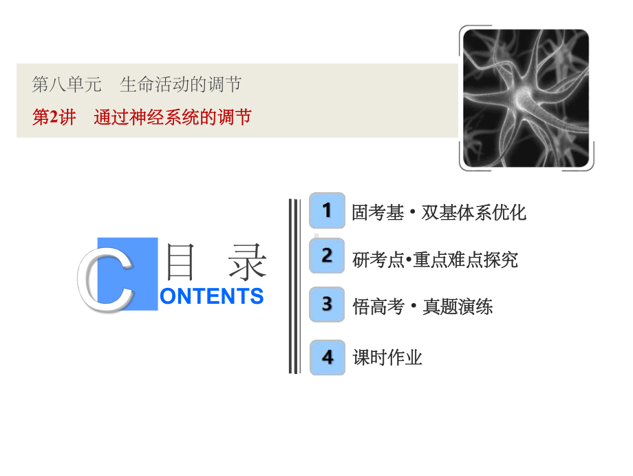 高考一轮通过神经系统的调节课件.ppt_第1页