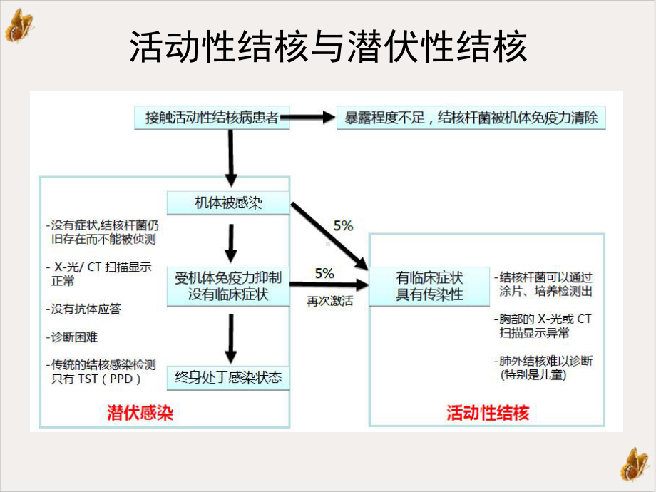 风湿病合并结核感染诊治的进展与共识教学课件.pptx_第3页