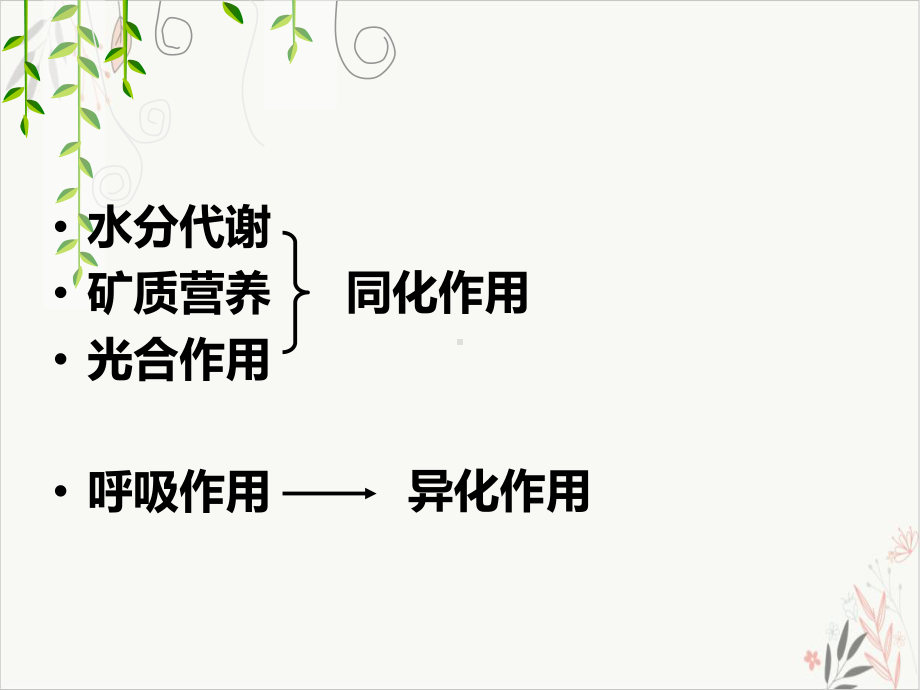 马铃薯块茎玉米胚脊椎动物肌细胞乳酸菌无氧呼吸主要场所课件.pptx_第2页