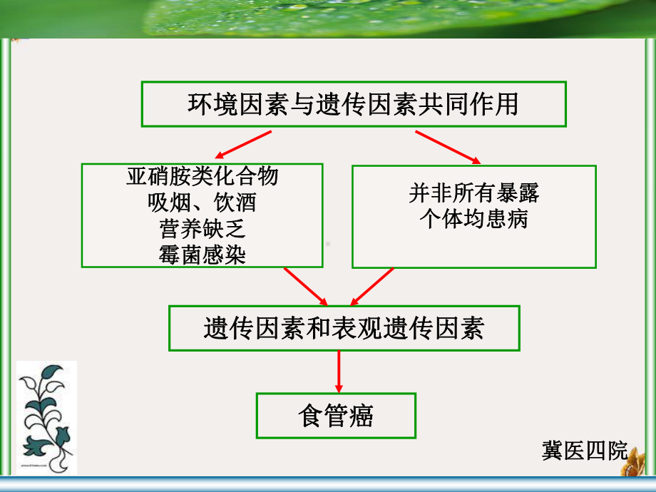 食管鳞癌tgf受体基因启动子区甲基化状态研究课件.pptx_第1页