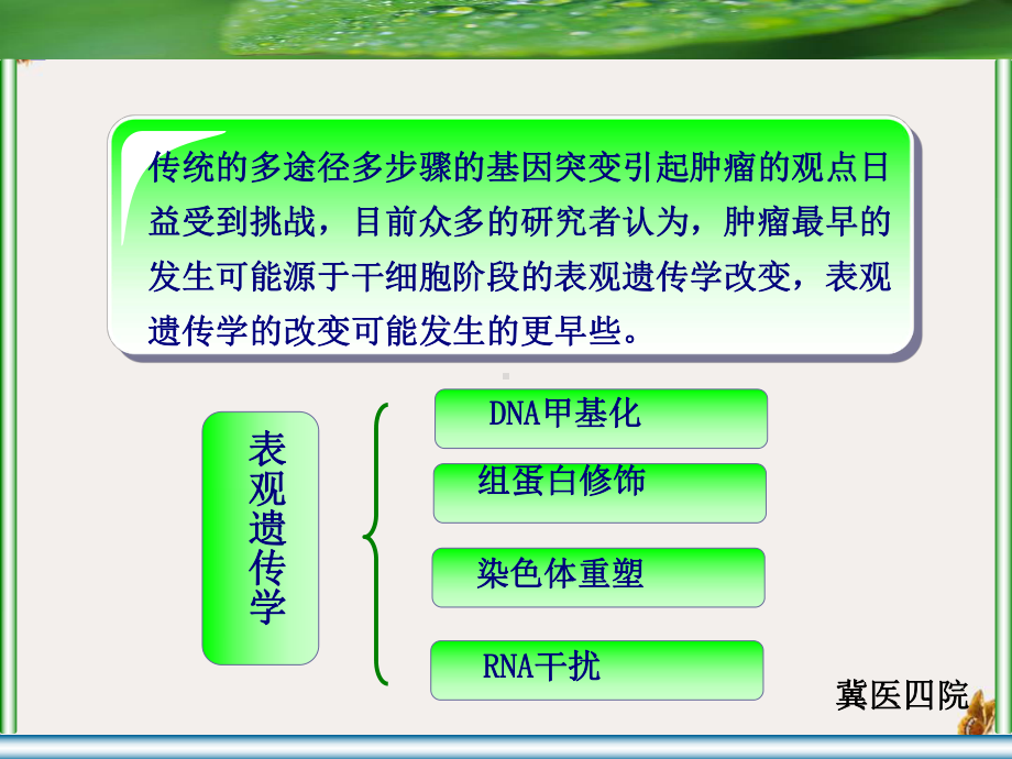 食管鳞癌tgf受体基因启动子区甲基化状态研究课件.pptx_第2页