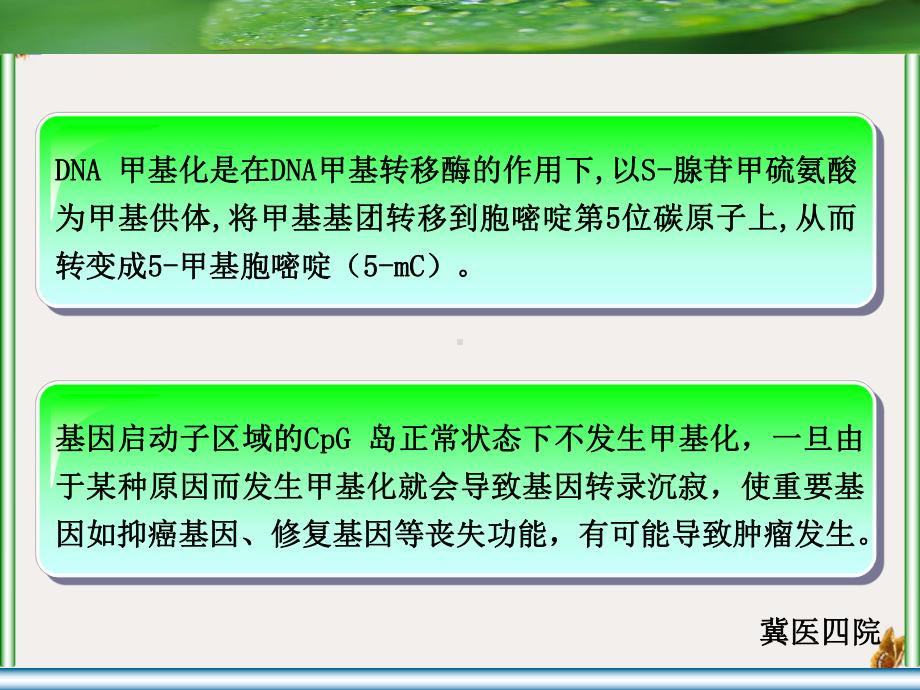 食管鳞癌tgf受体基因启动子区甲基化状态研究课件.pptx_第3页