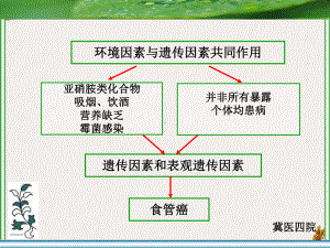 食管鳞癌tgf受体基因启动子区甲基化状态研究课件.pptx