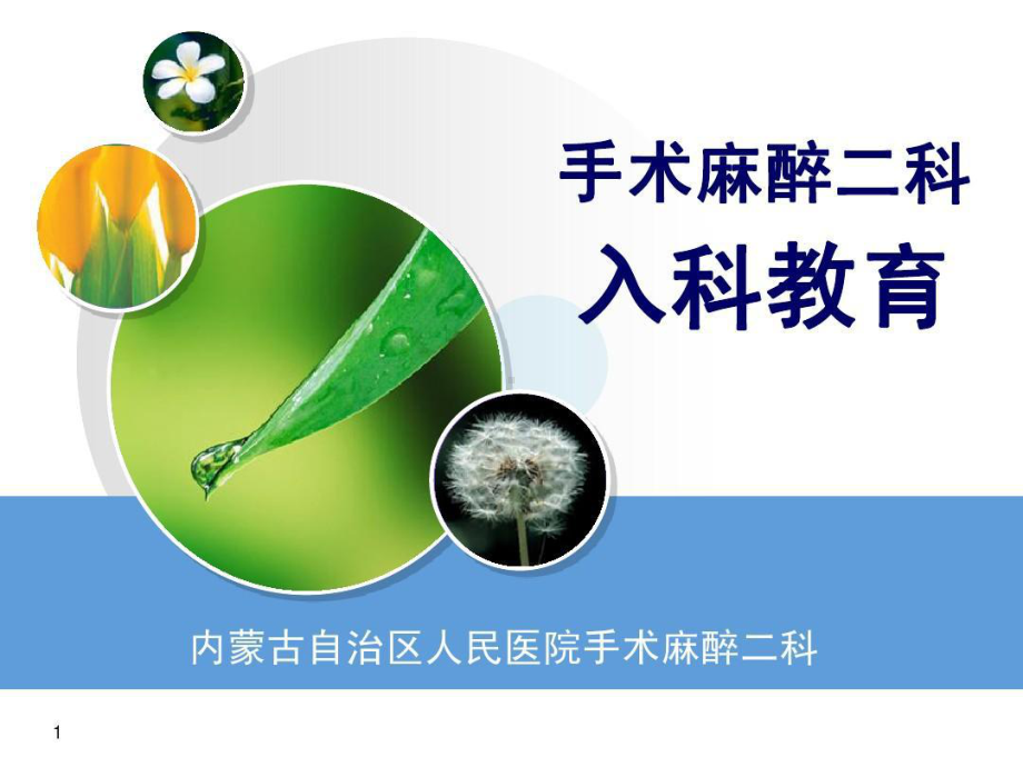 麻醉科入科教育课件.ppt_第1页