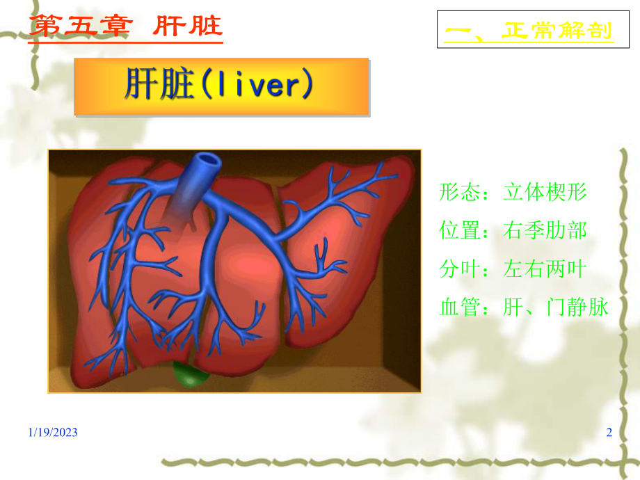 超声诊断学之肝脏疾病超声诊断课件.ppt_第2页