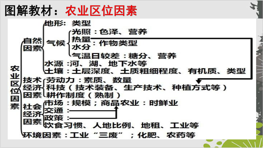 通解教材高考地理二轮专题复习十八农业整理课件.pptx_第2页