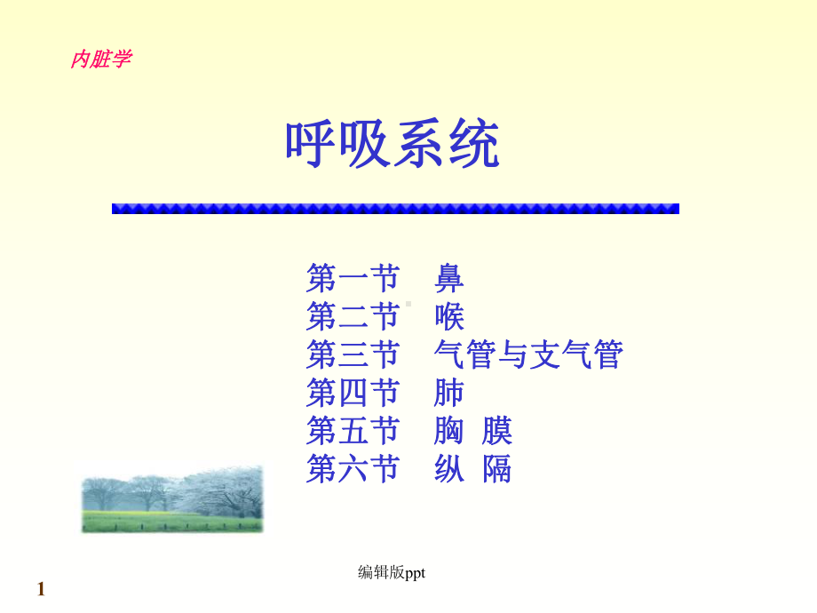 呼吸系统-医学演示文稿课件.ppt_第1页