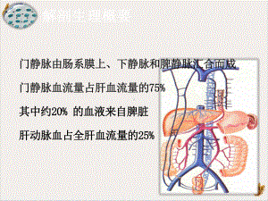 门静脉高压症患者的护理课件.pptx