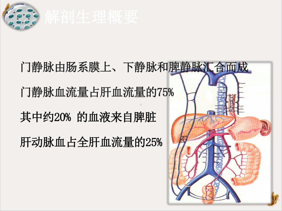 门静脉高压症患者的护理课件.pptx_第1页