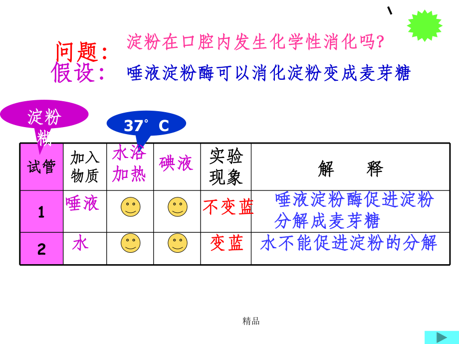 课+食物在胃肠内消化课件.ppt_第2页