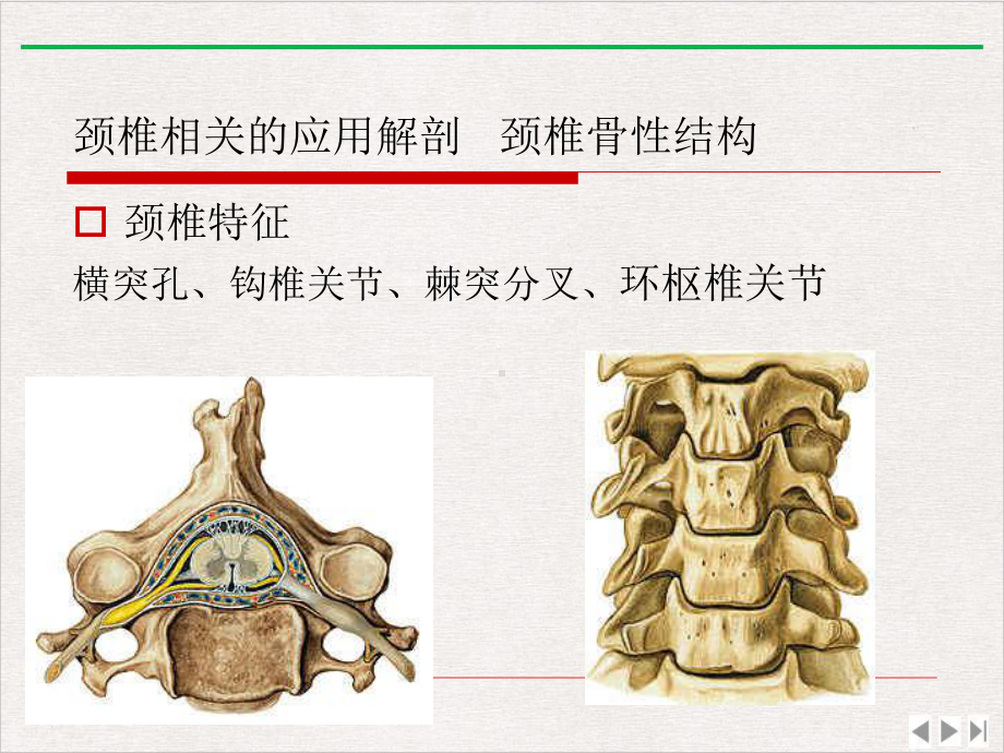 颈椎关节松动手法课件(同名1016).pptx_第3页