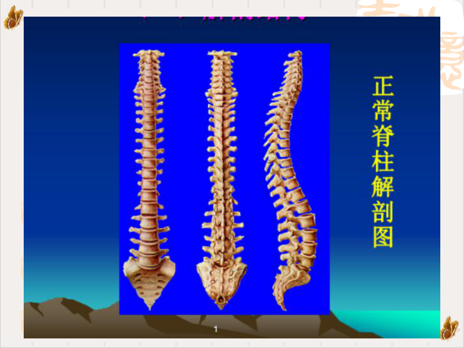 颈肩腰腿痛的康复治疗运动与误区课件1.pptx_第1页