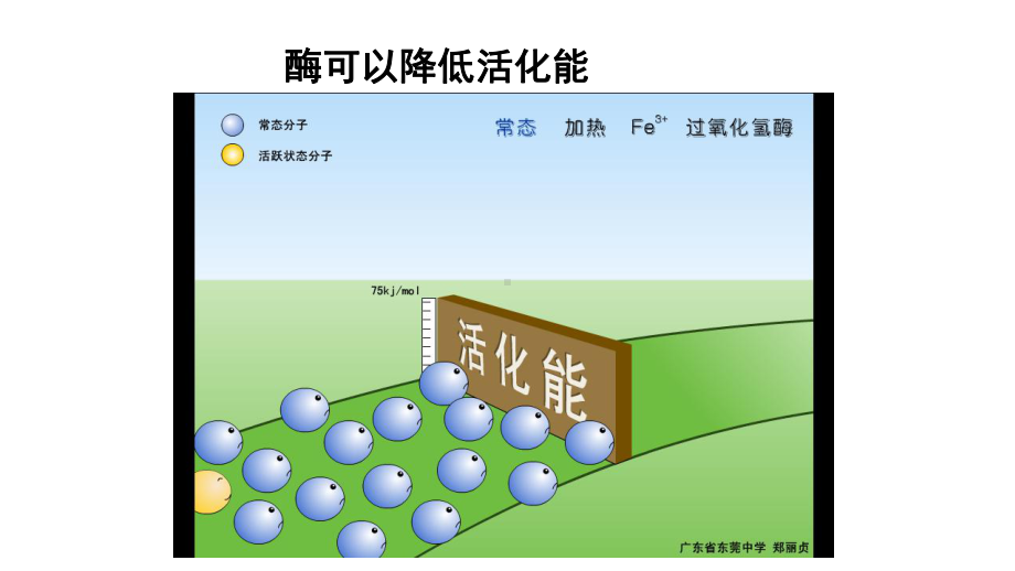 高中生物人教版必修一动画大全课件.pptx_第2页