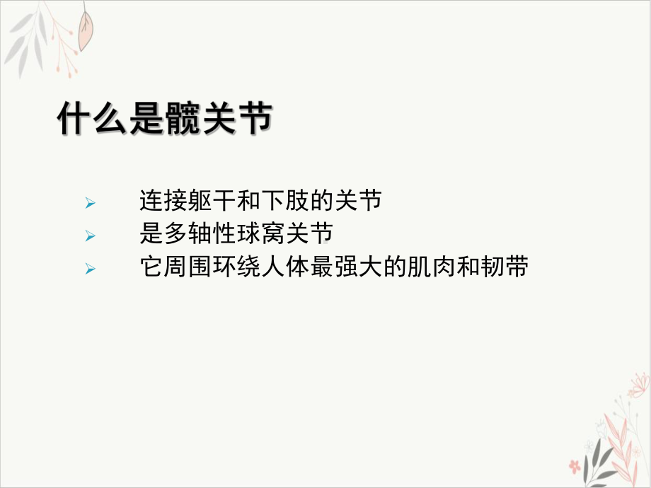 髋关节解剖学课件(模板).ppt_第2页