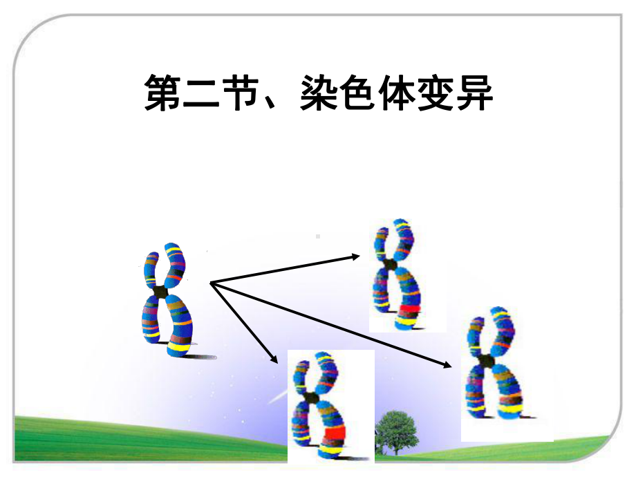 染色体变异(获奖)-优质课(课堂)课件.ppt_第1页