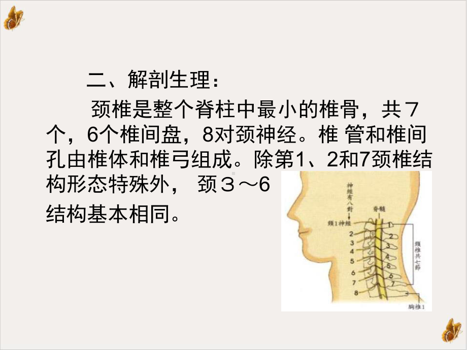 颈椎病落枕课件.pptx_第2页