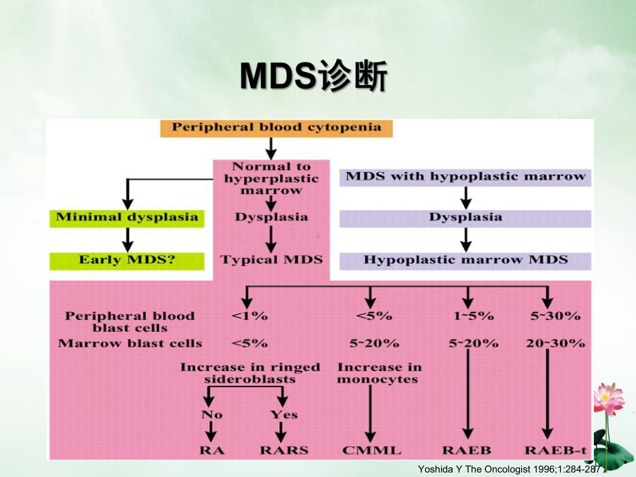 骨髓增生异常综合征的诊治进展授课课件.pptx_第2页