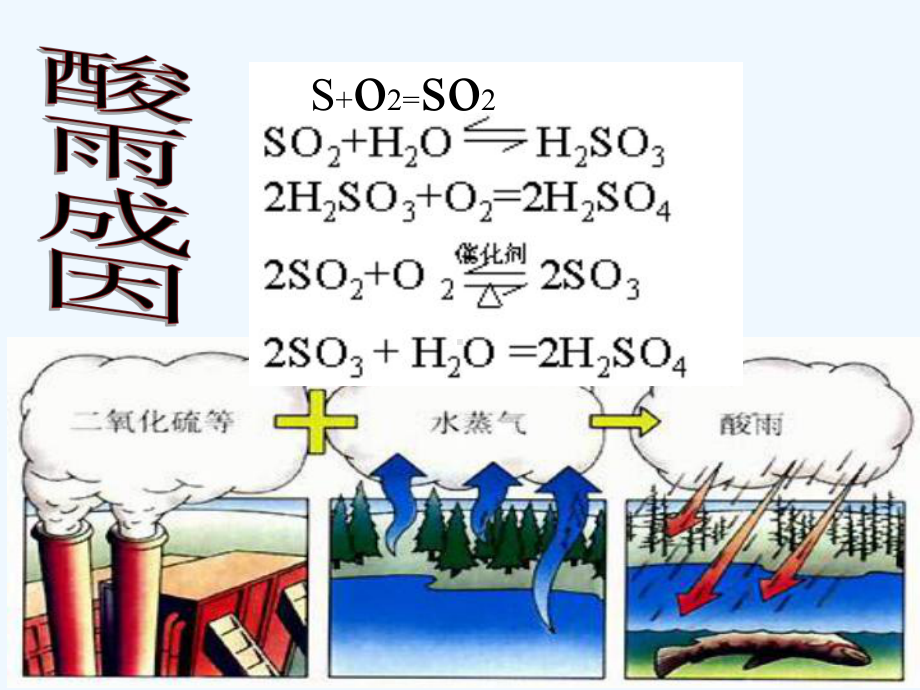 酸雨及其防治课件.ppt_第3页