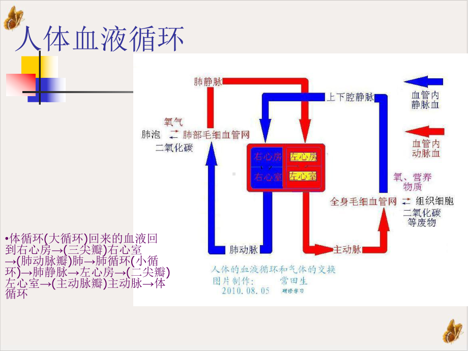 风湿性心脏病年月课件.pptx_第3页