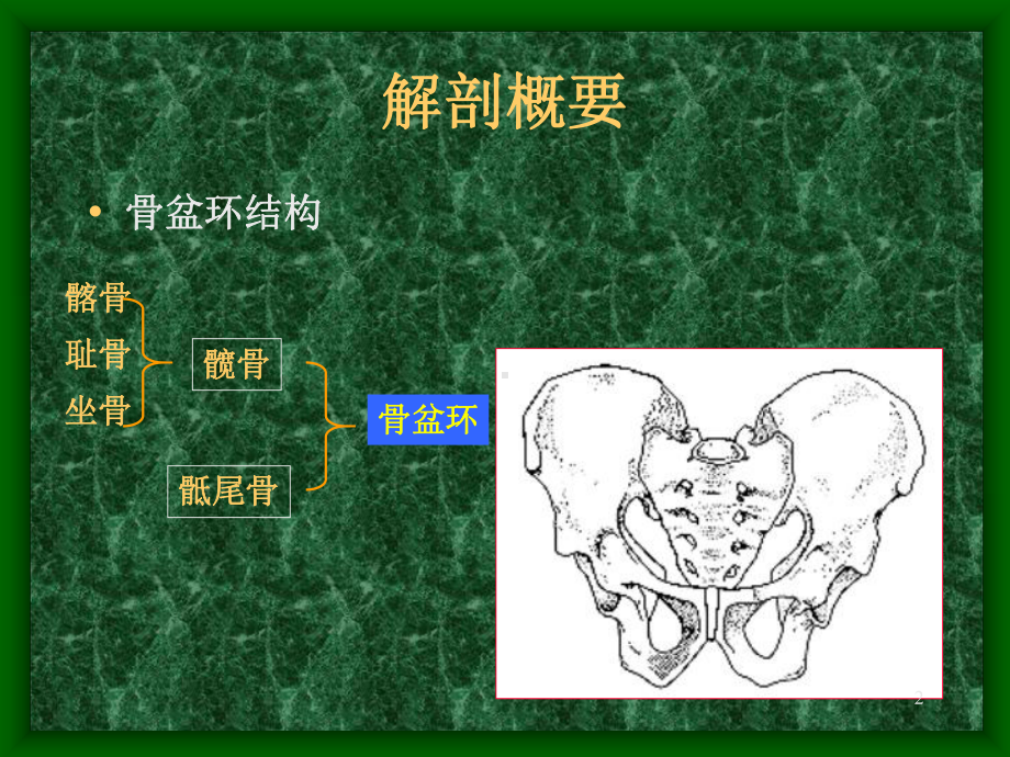 骨盆骨折六院课件.ppt_第2页