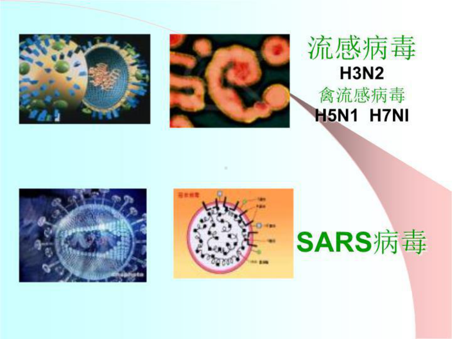 最新流感预防知识课件.ppt_第3页