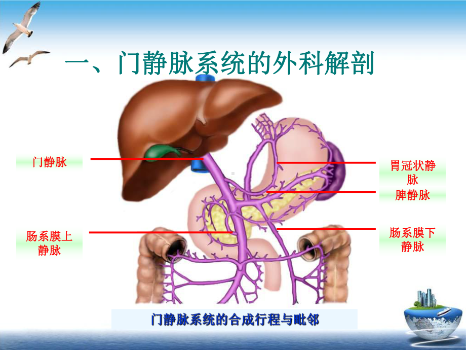 门静脉高压症的手术治疗单纯脾切除课件(同名186).pptx_第1页