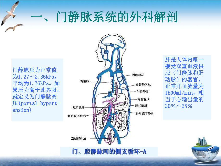 门静脉高压症的手术治疗单纯脾切除课件(同名186).pptx_第2页