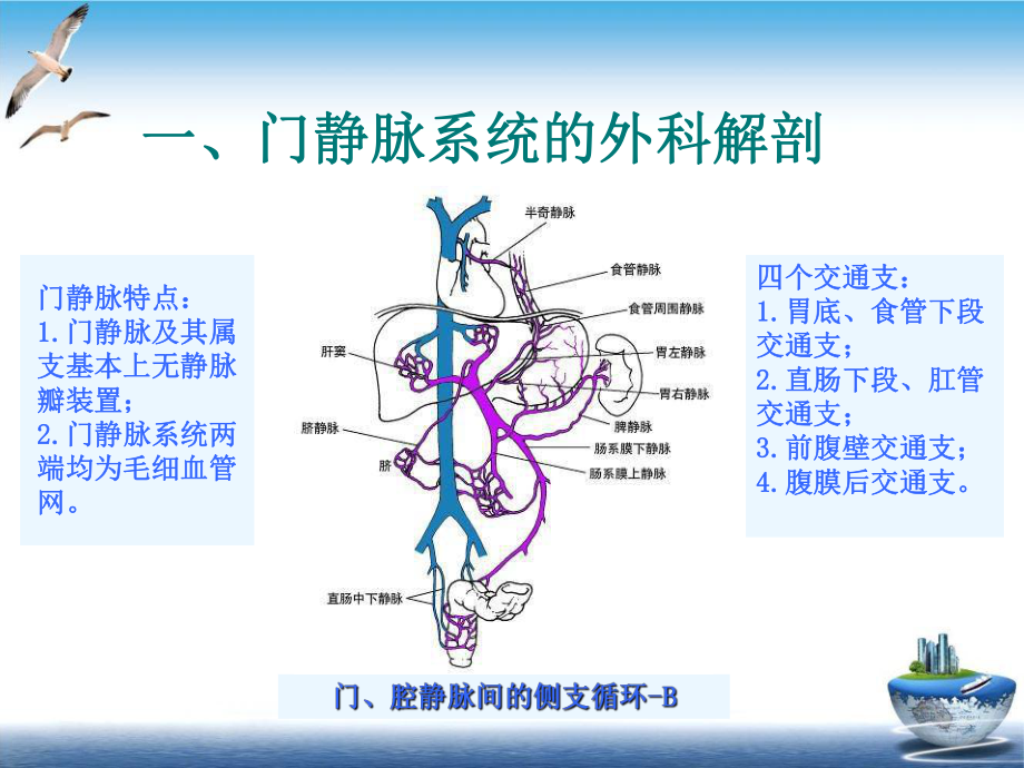 门静脉高压症的手术治疗单纯脾切除课件(同名186).pptx_第3页