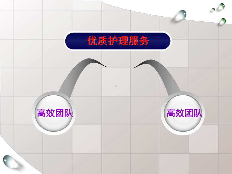 建立优质护理服务团队培训课程课件.ppt_第3页