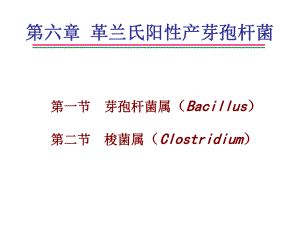 革兰氏阳性芽孢杆菌课件.ppt